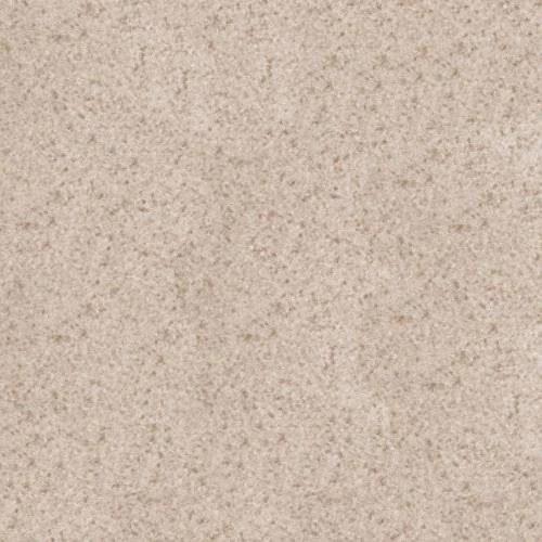 Insert bois SCHMID Lina W 7363 s porte pivotante 14,9 kW Hydro